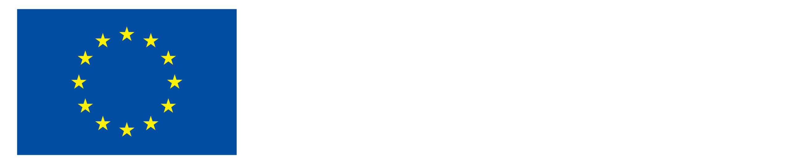 EN Co-Funded by the EU_NEG